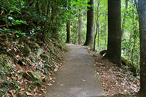 Track back heading out 