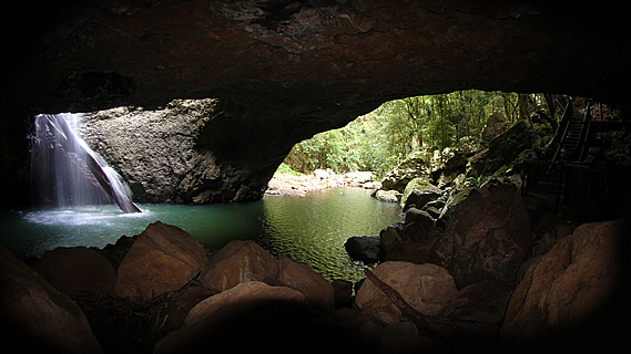 Natural Bridge in the Numinbah Valley