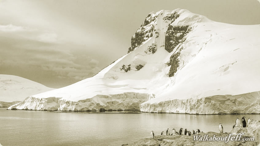 Day 09 - Wilhelmia Bay