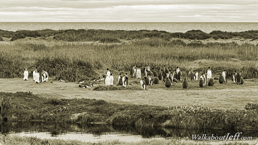 Day 03 - The Strait of Magellan