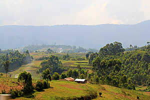 Rugged farmland
