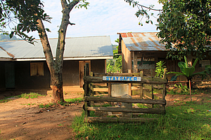 The school