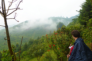 Climbing high into the mountains