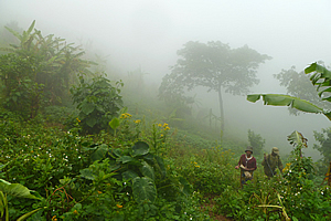Entering the thick cloud