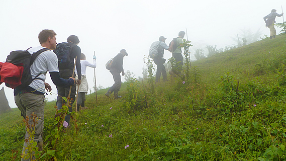 Into the Congo in Search of our Giant Relatives