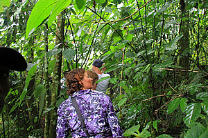 Trekking through the jungle 