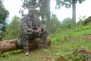 Guide resting 