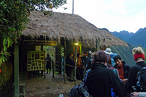 The gate