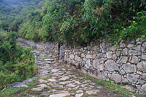 Trail to Machu Picchu