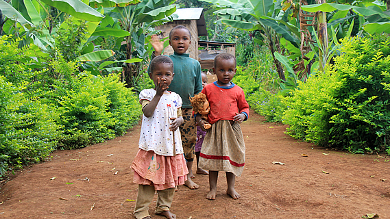 Meeting More New Friends at the Hotel