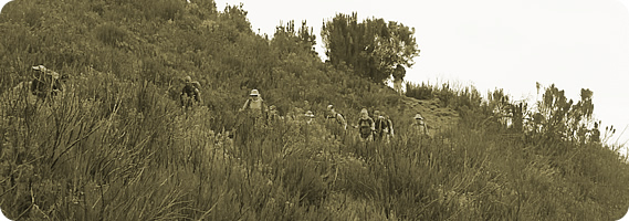 Heathland of the Lost World