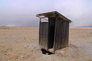 Disgusting toilet