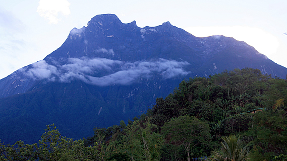 Prologue - As High as I could Climb