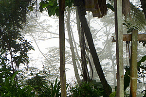 Enveloped in thick raincloud 