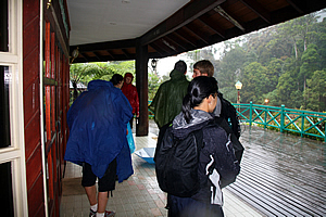 Back in the shelter of Mesilau Nature Centre 