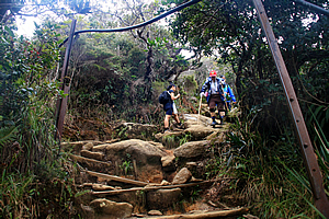 Climbers on the steep track 