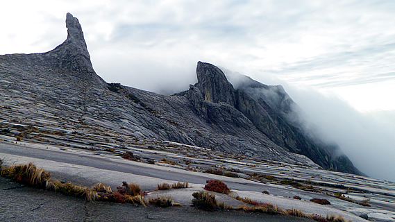 Giants Petrified in a Cocoon of Mist