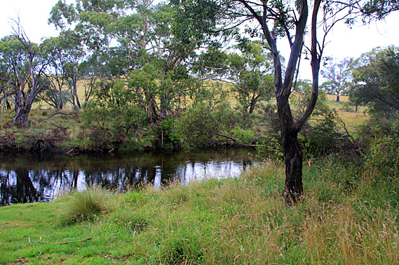 Threadbo River