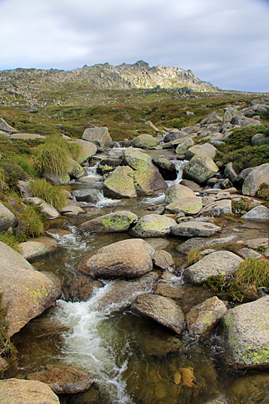 Merritt Creek