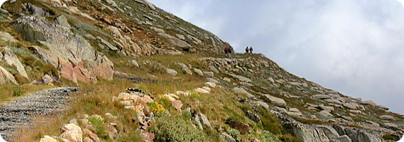 Mount Kosciuszko