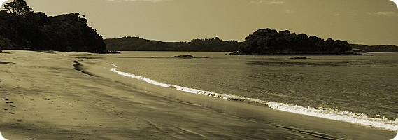 Ulva Island