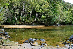 Crystal clear waters of Patterson Inlet
