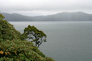 Patterson Inlet
