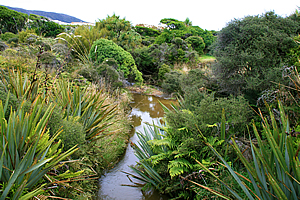 Stream near the hut 