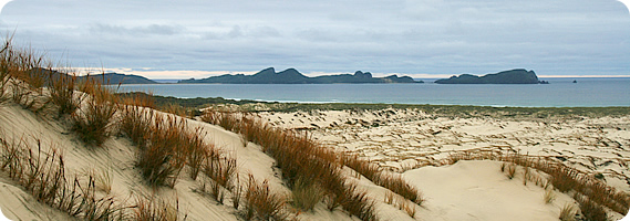 Stewart Island