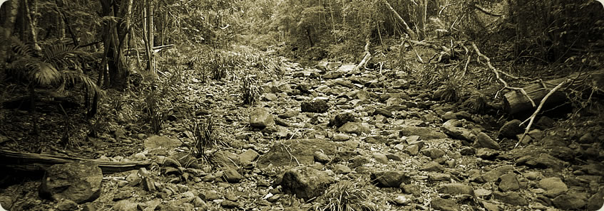 Day 1 - The Dry Valley