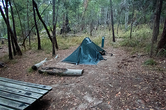 My tent