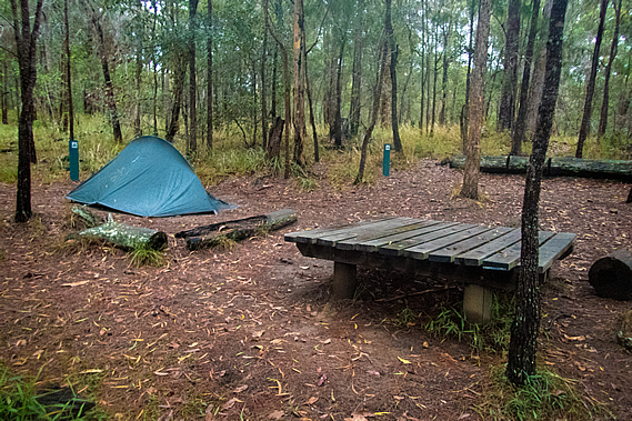 Campground in the morning