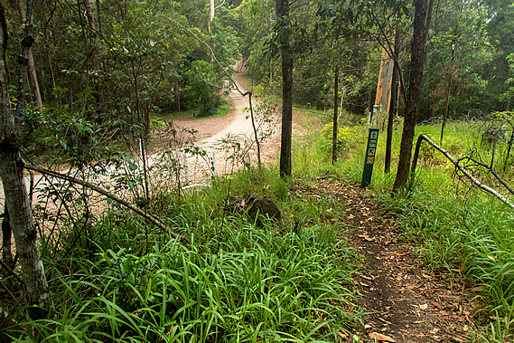 Saddle at the bottom of the hill