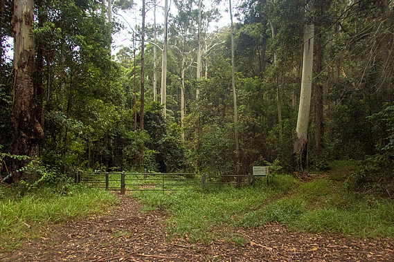 Track entrance across the road
