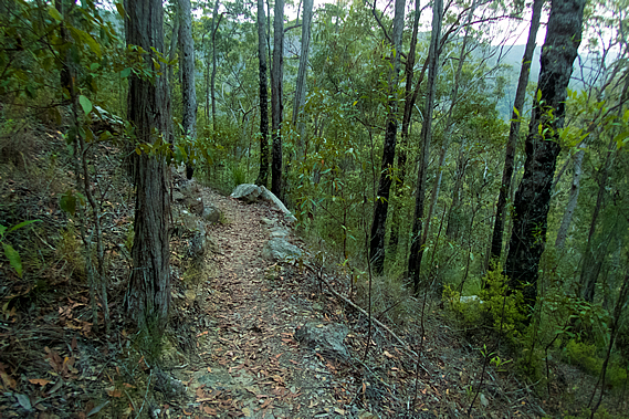 Up the hill towards Ubajee
