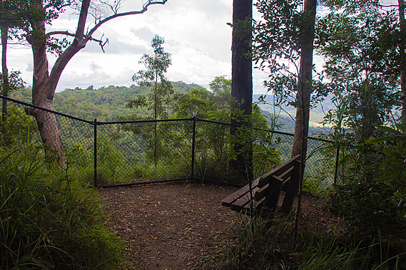 Peregrine Lookout 