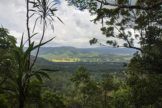 View from the lookout