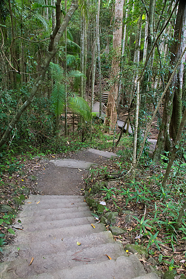 Top of the gully