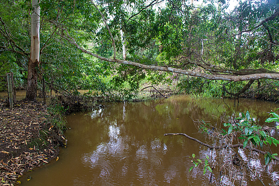 Pencil Creek