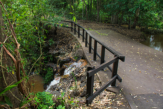 Pencil Creek