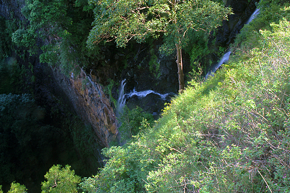 Mapleton Falls