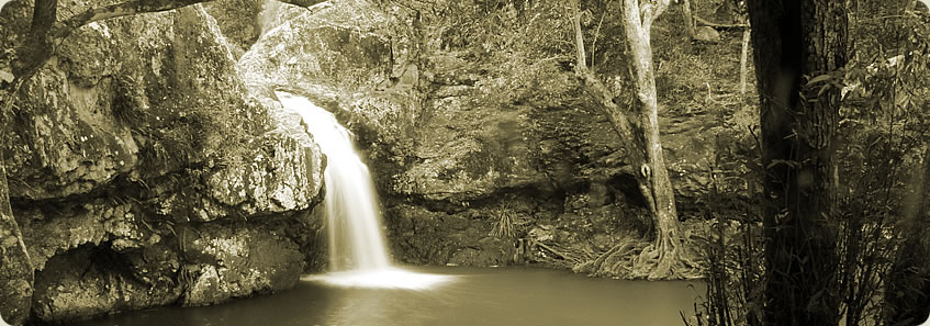 Day 4 - The Deep Gorges