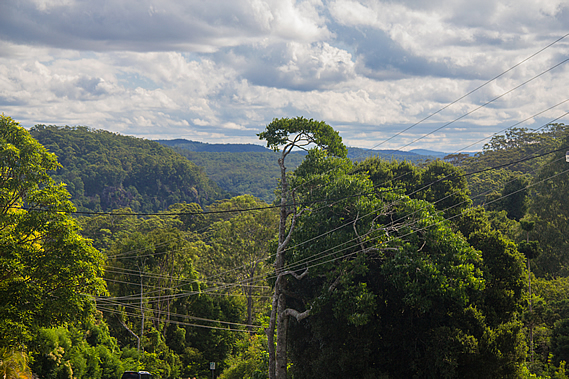 Kondalilla National Park from road