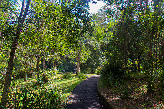 Picnic Creek barbeque area