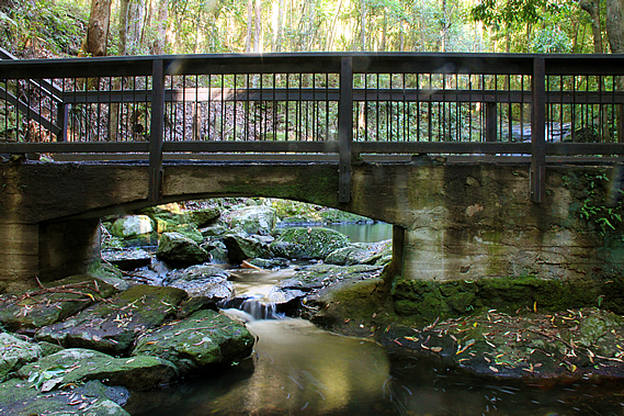 Picnic Creek