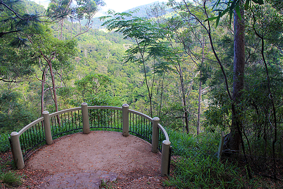 Kondalilla Lookout