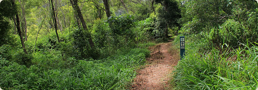 Sunshine Coast Hinterland Great Walk