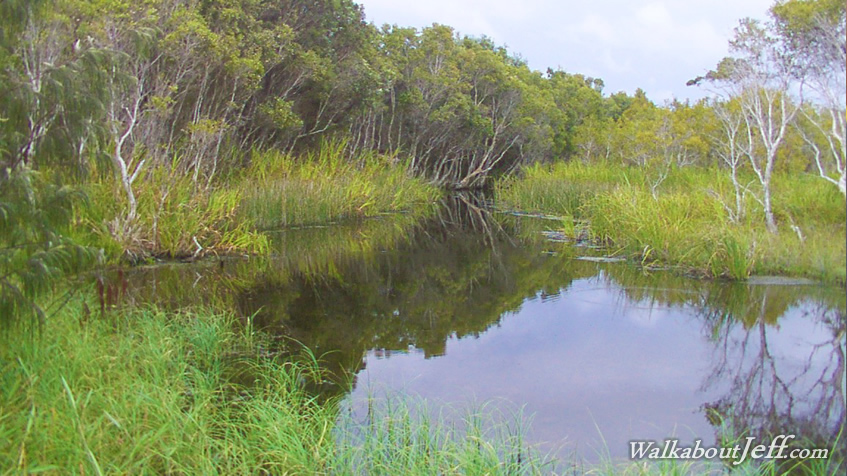 Lagoon on North Stradbroke