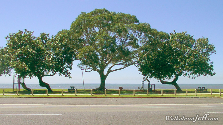 Sandgate