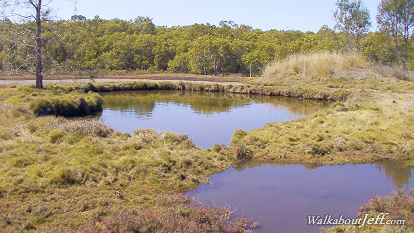 Boondall Wetlands